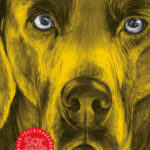 Auf dem Cover zu Der Spalt von Anke Feuchtenberger ist ein Portrait eines Hundes zu sehen. Die Fellfarbe ist in einem Ocker ton gehalten. Die Augen des Hundes sind Eisblau.